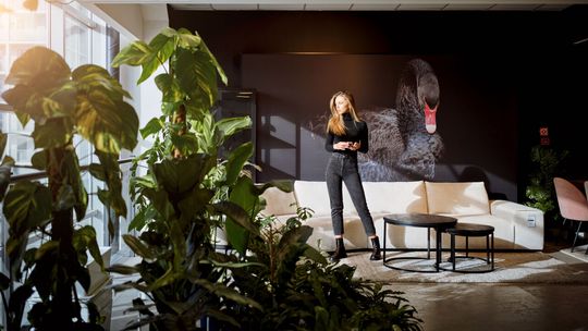 Ikony designu, które zmieniły wnętrza