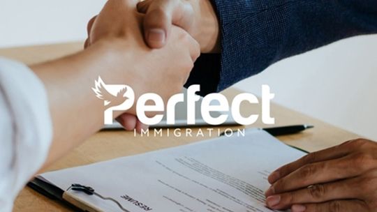 Imigracja po lepsze życie? Dubajska firma rośnie w siłę