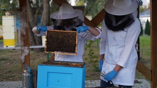 Inteligentne ule w Zwierzętarni ZUT w Szczecinie