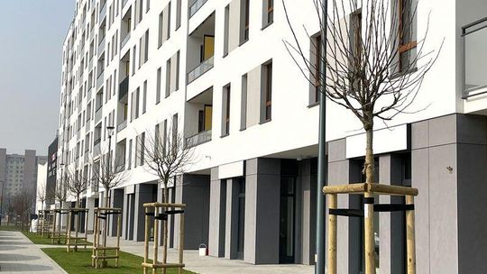 Jak oferta nowych mieszkań zmieniała się w ciągu ostatniego roku