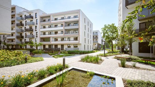 Jak popularny jest Rodzinny Kredyt Mieszkaniowy wśród nabywców mieszkań