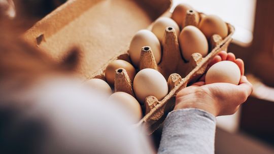 Jak prawidłowo przechowywać jaja