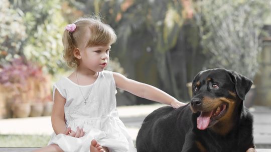 Jak skutecznie zabezpieczyć dom przed włamywaczami?