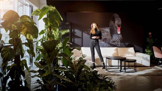 Jak zaaranżować wnętrze 2026 roku w 6 krokach?