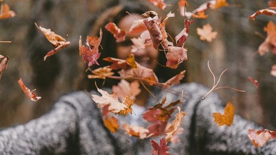 Jak zachować formę jesienią? Ćwicz na powietrzu i wprowadź odpowiednią dietę