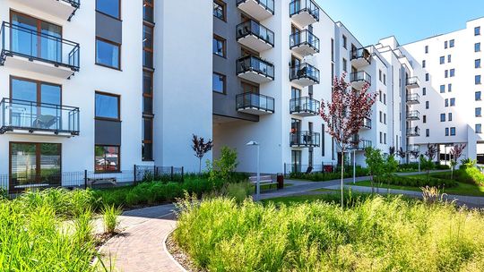 Jaki jest wybór małych mieszkań w ofercie deweloperów