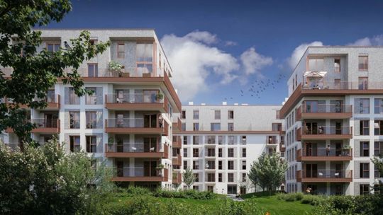 Jakie rozwiązania wdrażają deweloperzy, by zoptymalizować działalność