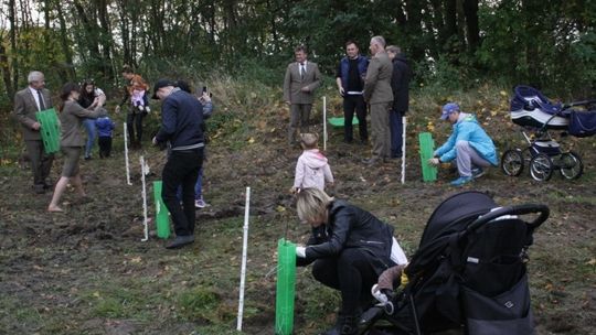 „Jedno dziecko, jedno drzewo” w Gryficach