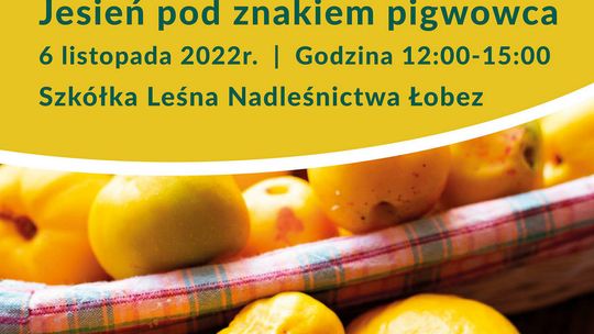 Jesień pod znakiem pigwowca w Nadleśnictwie Łobez
