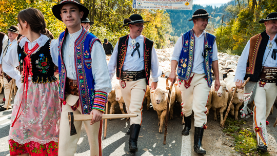 Jesienny redyk w Szczawnicy Wielkie góralskie święto z setkami owiec na ulicach zachwyca turystów