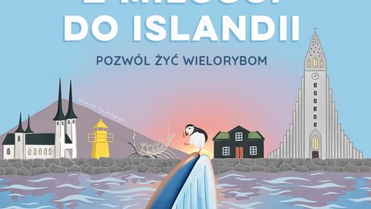 Jeśli wyjeżdżasz na wycieczkę do Islandii, możesz pomóc w zatrzymaniu zabijania wielorybów już teraz