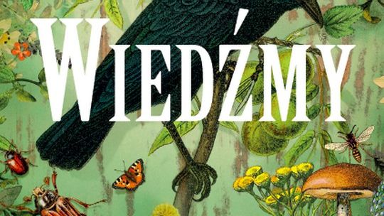 Jestem kobietą z rodu Weyward. Nic nie okiełzna mojej natury