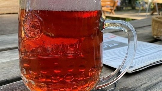 Kantar: Piwosze robią zakupy głównie w dyskontach. Na jedno piwo nie chcą wydać więcej niż 5 zł