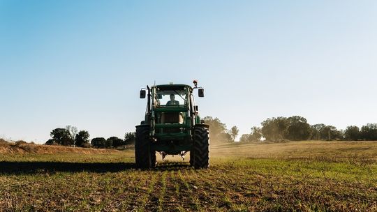 Kiedy i jak najlepiej wapnować pole? Praktyczny poradnik dla rolników
