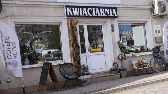 Klimaty Klimta – to kolejna wystawa w Chabrowym Studio