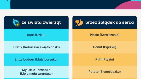 „Kochanie”, „skarbie”, a może „kotku”? Zbadano najpopularniejsze czułe przezwiska na świecie