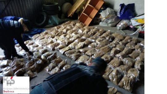 Kolejna nielegalna hurtownia tytoniu zamknięta