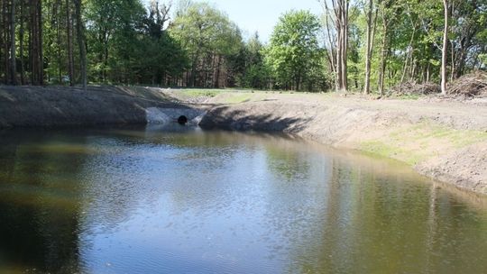 Kolejny zbiornik retencyjny w Nadleśnictwie Gryfice