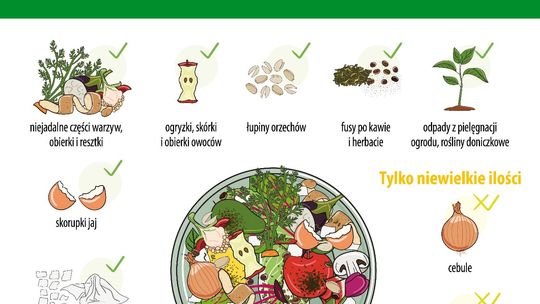 Kompostowanie bioodpadów – jak robić to prawidłowo?