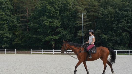 Konie na ZUT biegają po luksusowej nawierzchni