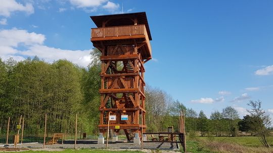 Konkurs na nazwę wieży.  W lasach nadleśnictwa Kliniska 