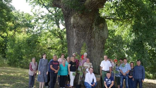 Konkurs rozstrzygnięty ,,Imię dla... dębu z Maszkowa”