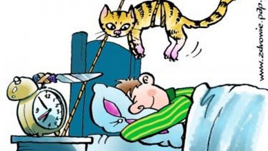 Kto rano wstaje, temu Pan Bóg daje?