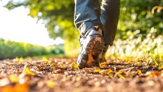 Kto szybciej chodzi, jest zdrowszy metabolicznie