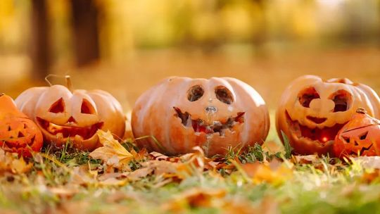 Kulinarne hity na Halloween: 3 przepisy na magiczne potrawy z dynią w roli głównej