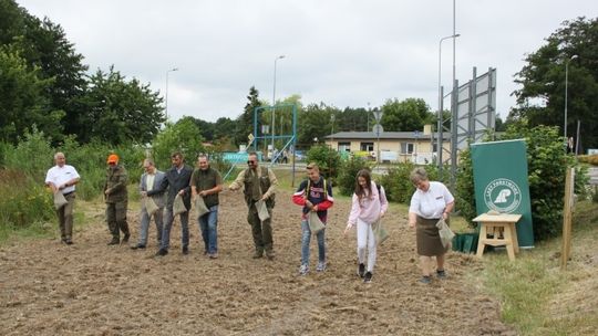 Kwietna Łąka powstała w Mrzeżynie
