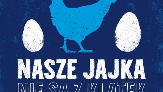 Lisner rezygnuje z jaj z chowu klatkowego - kolejny krok firmy w kierunku zrównoważonego rozwoju