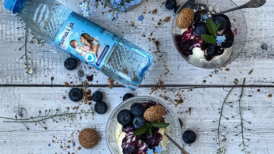 Lody waniliowe z polewą jagodową