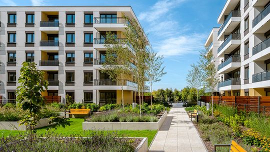 Lokum Deweloper prezentuje wyniki finansowe za I półrocze 2024 r.