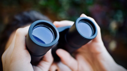 Luneta od A do Z. Sprawdź, co warto wiedzieć o tym typie dodatków do broni