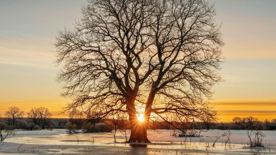 Mądry Polak po mrozie? Czy zimowe rachunki skłonią nas do ocieplania domów? Mądry Polak po mrozie? Czy zimowe rachunki skłonią nas do ocieplania domów?