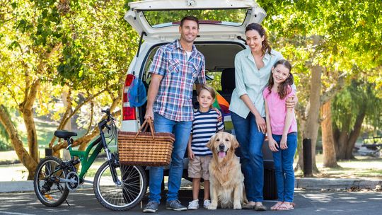 Majówka z pupilem – o czym pamiętać, planując urlop?