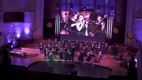 MARKOWY FESTIWAL: DZIEŃ DRUGI