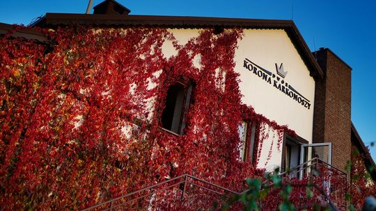 Miejsce na imprezy integracyjne. Sprawdź wiosenne trendy