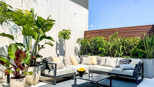 Miejska dżungla – czyli jak przenieść ogród na balkon i taras