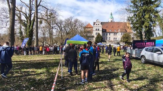 Mistrzostwa Powiatu Gryfickiego w indywidualnych oraz drużynowych biegach przełajowych