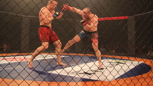 MMA Fight Night Gryf Arena