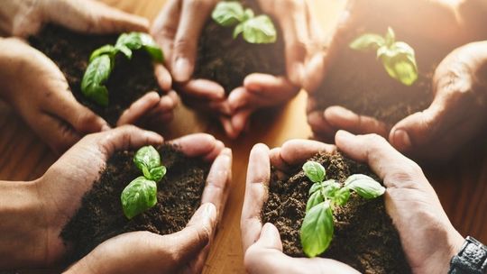 Mniej emisji, więcej korzyści. Sprawdź, jak na co dzień dbać o klimat