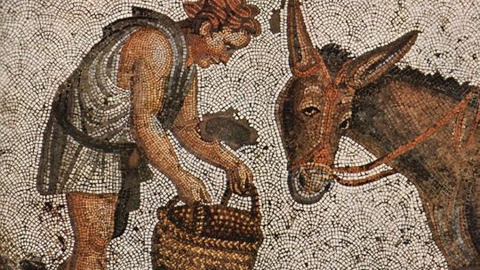 MUZEUM NARODOWE W SZCZECINIE