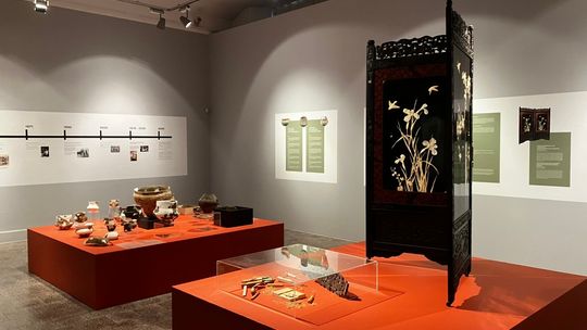 Muzeum Narodowe w Szczecinie