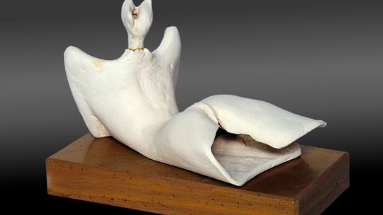 Muzeum Narodowe w Szczecinie zaprasza na wystawę...