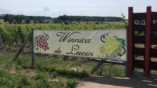 Na Pomorzu Zachodnim  Weekend otwartych winnic