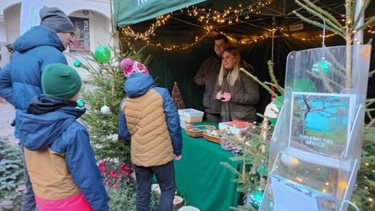Nadleśnictwo Gryfice na Jarmarku Bożonarodzeniowym