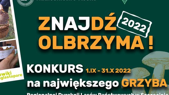 Nadleśnictwo Resko zaprasza do konkursu "Znajdź olbrzyma"