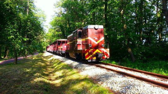 Nadmorska kolejka zaprasza na jesienne przejażdżki