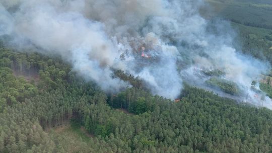 Najwyższy stopień zagrożenia pożarowego na terenie RDLP Szczecin